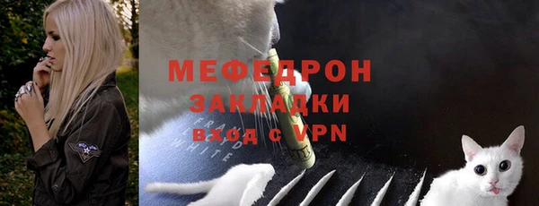 прущие грибы Верея