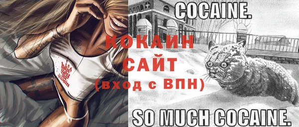 ПСИЛОЦИБИНОВЫЕ ГРИБЫ Наволоки