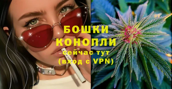Альфа ПВП Няндома