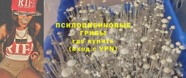 спиды Нефтекумск